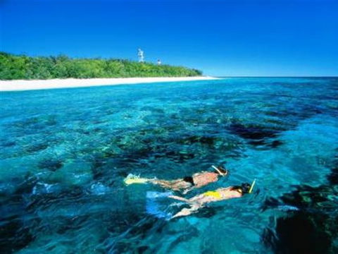 Lady Elliot Island Eco Resort - Day Trip - VIC Tourism 0