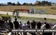 Grafton Greyhound Racing Club Caravan Park - thumb 0