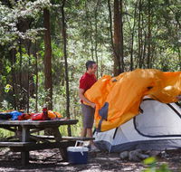 Bald Rock campground and picnic area - VIC Tourism