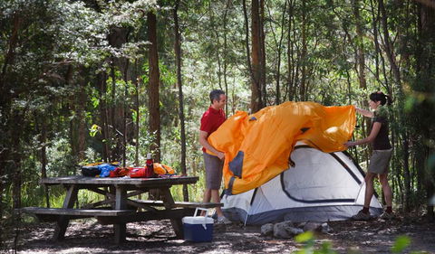 Bald Rock Campground And Picnic Area - VIC Tourism 0