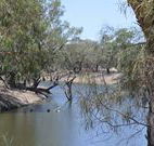 Beds on the Barwon - VIC Tourism