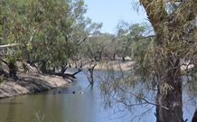 Beds On The Barwon - VIC Tourism 0
