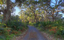 BIG4 South Durras Holiday Park - VIC Tourism 4