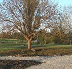 Bundarra Caravan Park - VIC Tourism