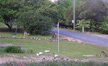 Burrinjuck Waters Holiday Park Accommodation - VIC Tourism 2