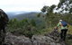 Callicoma Hill Eco-Cabins - thumb 1