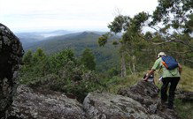 Callicoma Hill Eco-Cabins - VIC Tourism 1