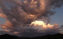 Callicoma Hill Eco-Cabins - VIC Tourism 2