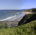 Coledale Beach Camping Reserve - VIC Tourism
