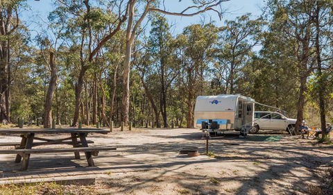 Cypress-pine Campground - VIC Tourism 1