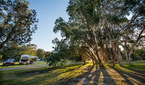Delicate Campground - VIC Tourism 0