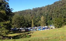 Ferndale Caravan Park - VIC Tourism 1