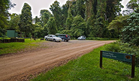 Forest Tops Campground - VIC Tourism 2