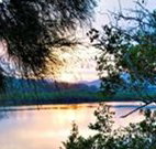 Tweed Coast Holiday Parks Hastings Point - VIC Tourism