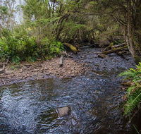 Horse Swamp campground - VIC Tourism