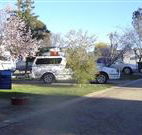 Horseshoe Motor Village - VIC Tourism
