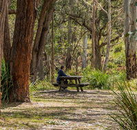Koreelah Creek campground - VIC Tourism