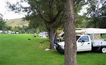 Lostock Dam Caravan Park - VIC Tourism 1