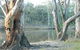 McLean Beach Holiday Park - thumb 5