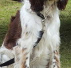 Merimbula Lake Holiday Park - VIC Tourism