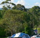 Milton Valley Holiday Park - VIC Tourism