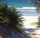 Myola Tourist Resort Caravan Park - VIC Tourism
