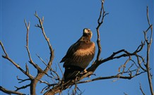 Pimpara Lake Stationstay - VIC Tourism 2