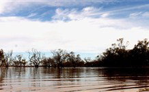 Pimpara Lake Stationstay - VIC Tourism 5