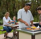 Port Stephens Treescape - VIC Tourism