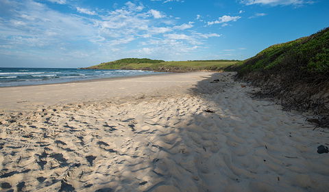 Racecourse Campground - VIC Tourism 2