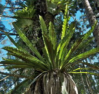 Rummery Park campground - VIC Tourism