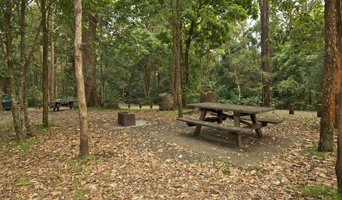 Sheepstation Creek Campground - VIC Tourism 0