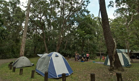 Sheepstation Creek Campground - VIC Tourism 2