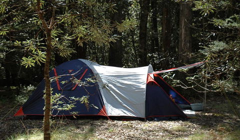 Thungutti Campground - VIC Tourism 0