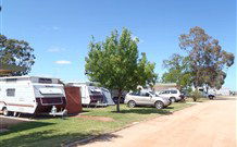 Trentham Cliffs Caravan Village - VIC Tourism 4