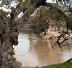 Trilby Station - VIC Tourism