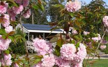 Tyrra Cottage Bed And Breakfast - VIC Tourism 2