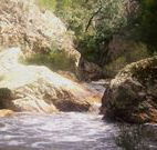 Wee Jasper Reserves Camping Sites - VIC Tourism