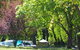 Wee Jasper Reserves Camping Sites - thumb 2