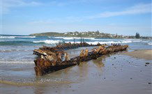 Woolgoolga Lakeside Holiday Park - VIC Tourism 3