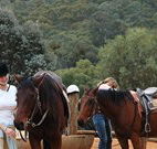 Chesleigh Homestead - VIC Tourism