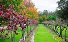 Peppers Convent Hunter Valley - VIC Tourism 4