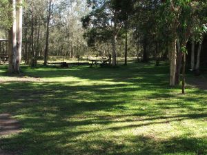 Jervis Bay Cabins And Hidden Creek Real Camping - VIC Tourism 5