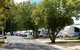 Queanbeyan Riverside Tourist Park - thumb 2
