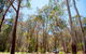 Coolah Tops National Park Camping - thumb 0