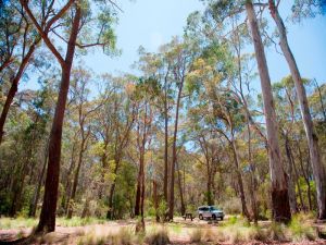 Coolah Tops National Park Camping - VIC Tourism 0