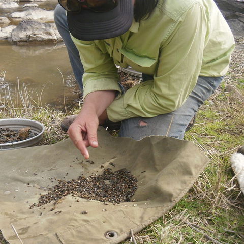 Bullock Mountain Homestead - VIC Tourism 1