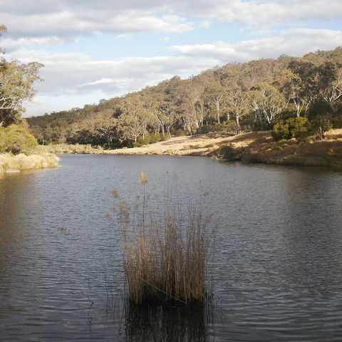 Bullock Mountain Homestead - VIC Tourism 2