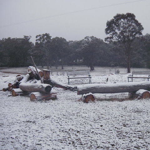 Bullock Mountain Homestead - VIC Tourism 3