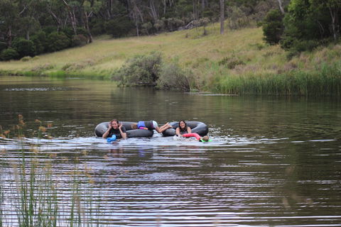 Bullock Mountain Homestead - VIC Tourism 5